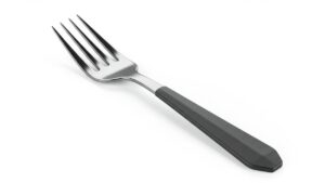 Nova Fork: Everything You Need to Know About the Next-Gen Open-Source Tool