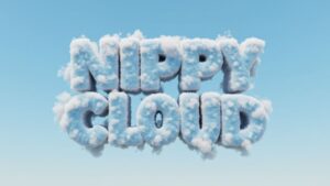 "Exploring the Nippy Cloud: A Fresh Perspective on Agile Cloud Computing"